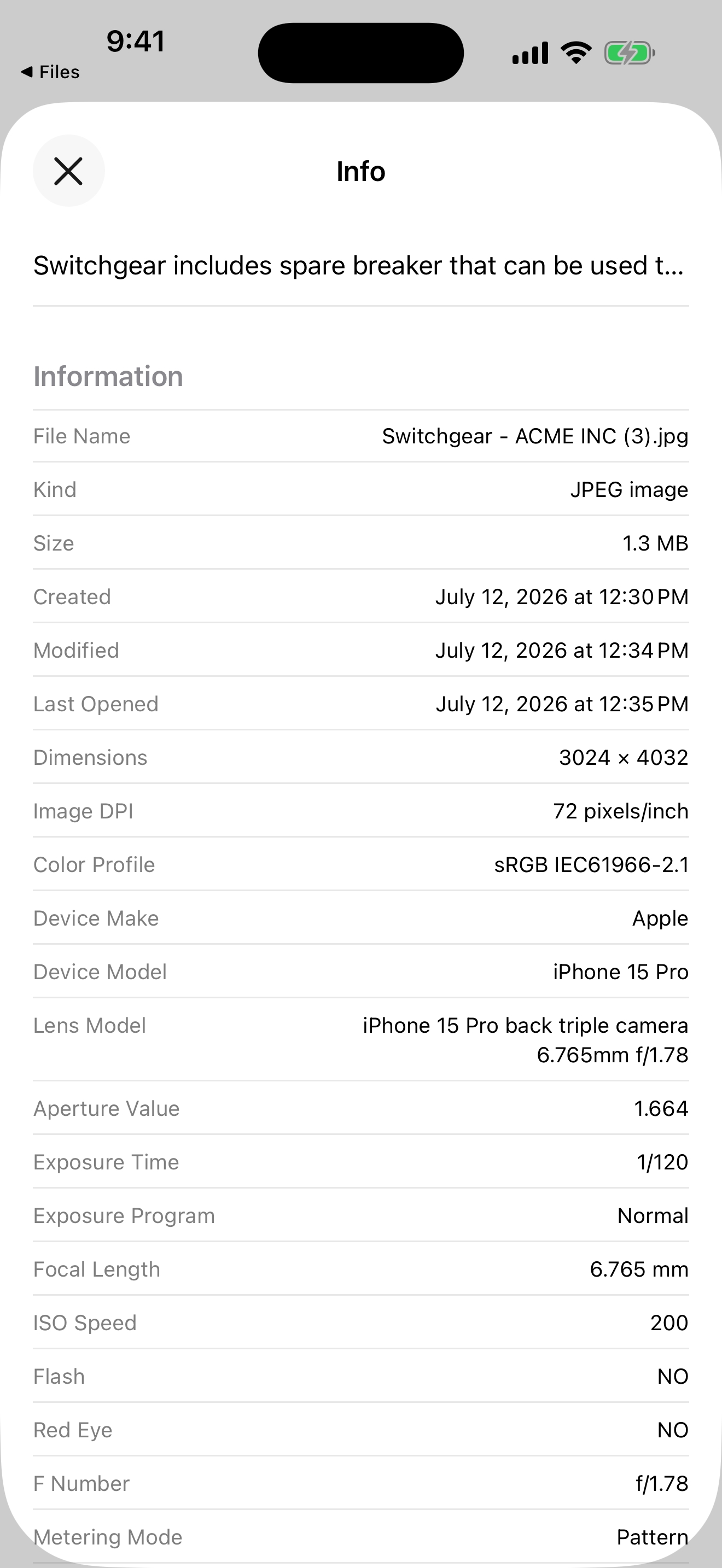 Files information showing a labelled photo and its metadata